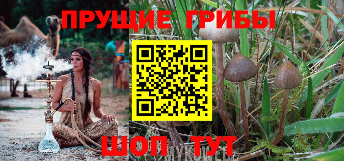 Кизилюрт  цена наркотик  Вход с VPN  Псилоцибиновые грибы Magic Shrooms 